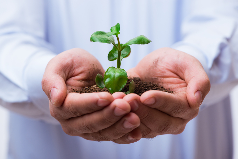 04-11-2017 Employee Growth staff training