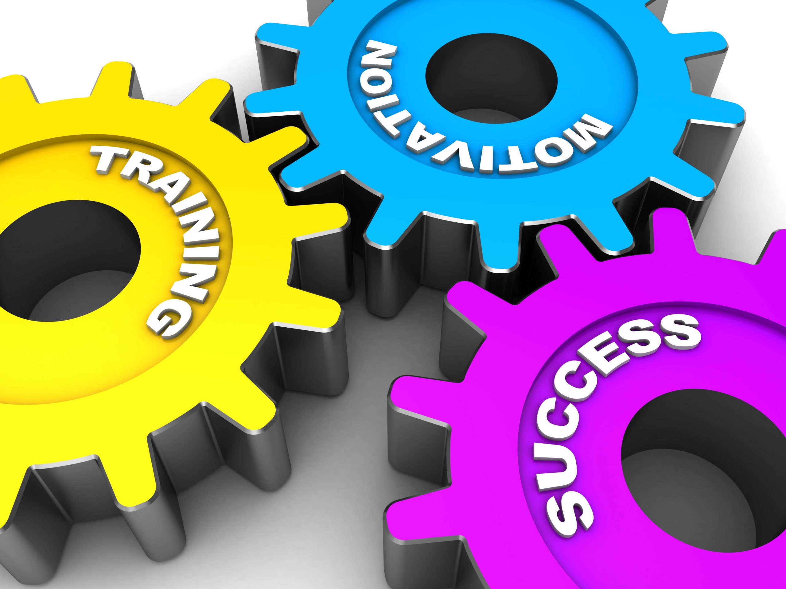 How to Lead Successful Training Sessions How to Lead Successful Training Sessions